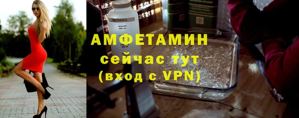 винт Каменка