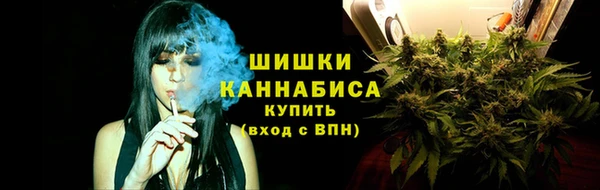 винт Каменка