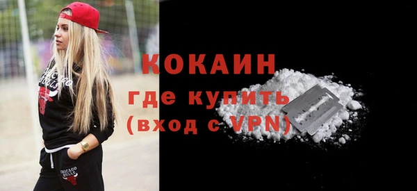 винт Каменка