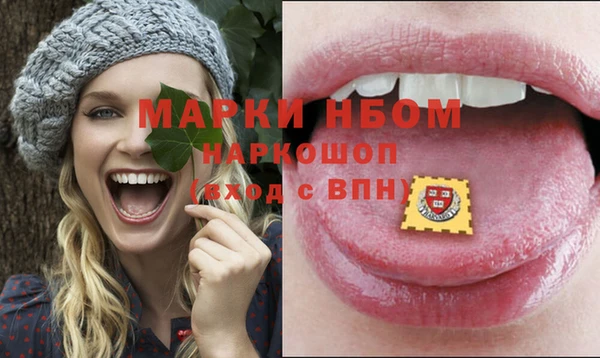 винт Каменка