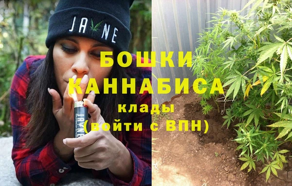 ГАЛЛЮЦИНОГЕННЫЕ ГРИБЫ Каменногорск