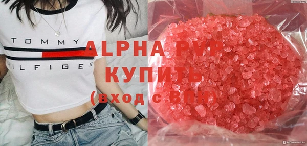 винт Каменка