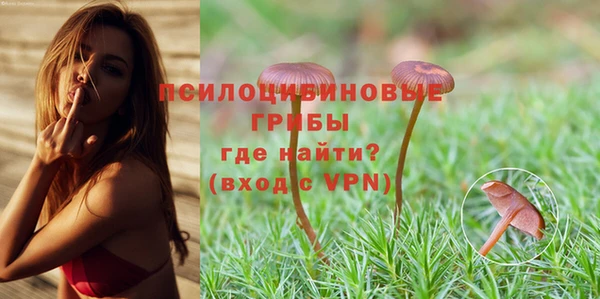 ГАЛЛЮЦИНОГЕННЫЕ ГРИБЫ Каменногорск