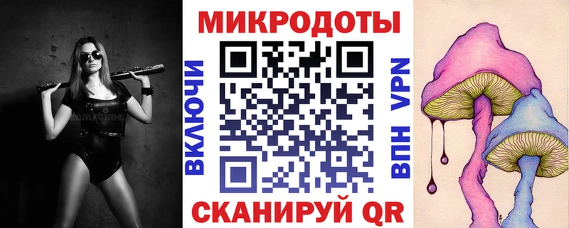 Купить  Дмитров  Псилоцибиновые грибы GOLDEN TEACHER 